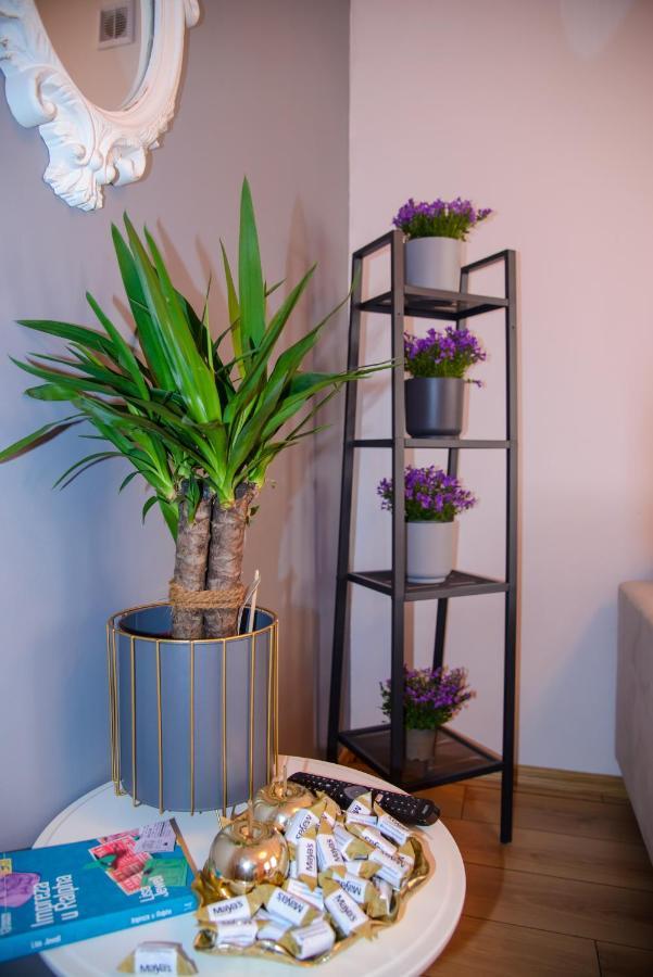 Maya's Flats & 19 & 20 - Ogarna Lägenhet Gdańsk
